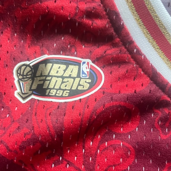 NBA Chicago Bulls Year of The Tiger Mesh Jersey - Picture 5 of 7